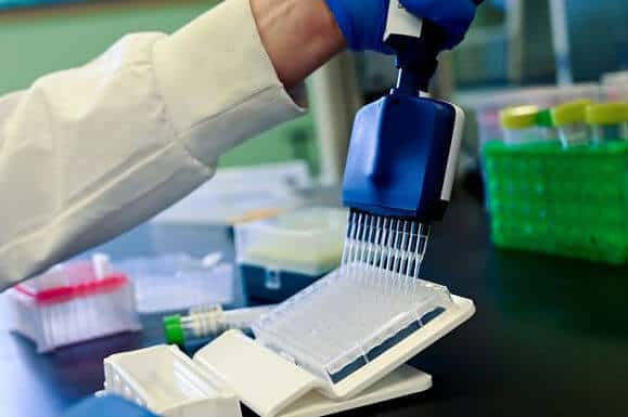 Our Bioanalytical Services