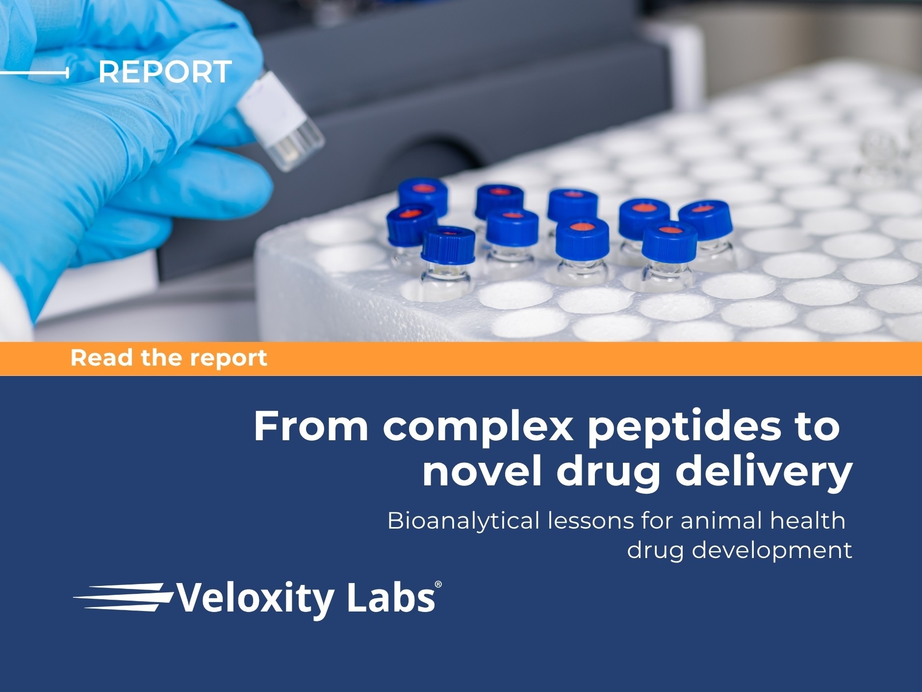 Featured image for Veloxity Labs report, “From complex peptides to novel drug delivery,” showing a gloved scientist handling a laboratory vial beside sample tubes.